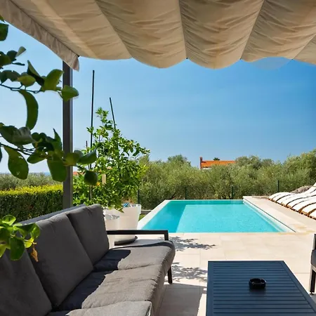 Modern Cormoran With Pool In * Poreč