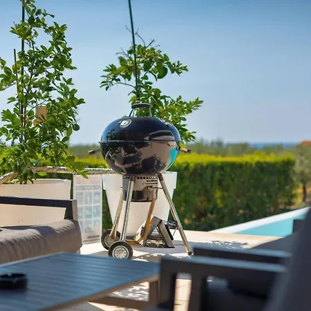 Modern Cormoran With Pool In * Porec