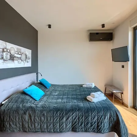 Modern Cormoran With Pool In Villa Porec